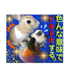 ねねこ☆にゃ美さん♡うさぴょん実写〜背景（個別スタンプ：36）