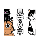 猫スタンプ 茶トラ＆ハチワレ＆黒猫（個別スタンプ：20）