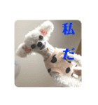 とむはうすの家族犬猫3（個別スタンプ：5）