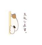 敬語が使えるねこちゃん（個別スタンプ：6）