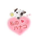 愛犬♡ハナコのスタンプ12（個別スタンプ：30）