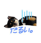 たいがん（個別スタンプ：6）