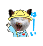 可愛すぎる❤三毛猫パルスタンプ（個別スタンプ：4）