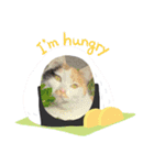 可愛すぎる❤三毛猫パルスタンプ（個別スタンプ：8）