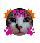 ドラエモン②敬語っぽい（個別スタンプ：2）