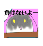 かまぼこ教の人が使うスタンプ（個別スタンプ：5）