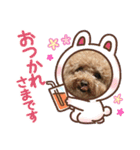 BAN KOU（個別スタンプ：1）