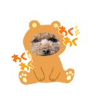 BAN KOU（個別スタンプ：5）
