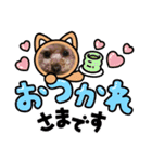 BAN KOU（個別スタンプ：10）