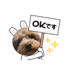 BAN KOU（個別スタンプ：12）