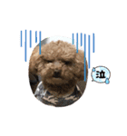 BAN KOU（個別スタンプ：16）