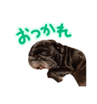 はるおの日常2（個別スタンプ：14）