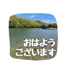 【田舎の風景写真】ビジネス会話ことば（個別スタンプ：1）