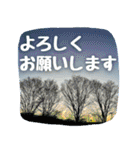 【田舎の風景写真】ビジネス会話ことば（個別スタンプ：6）