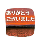 【田舎の風景写真】ビジネス会話ことば（個別スタンプ：8）