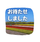 【田舎の風景写真】ビジネス会話ことば（個別スタンプ：12）