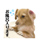 けんさのめい♡（個別スタンプ：14）