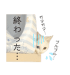 けんさのめい♡（個別スタンプ：38）