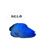 かわちいナポフィ（個別スタンプ：2）