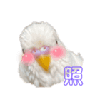 うちの可愛い鳥さんスタンプ（個別スタンプ：7）