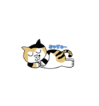 三毛猫みかん姐さん（個別スタンプ：2）