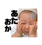 すーちゃん1歳（個別スタンプ：31）