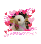 うさりおスタンプ5（個別スタンプ：2）