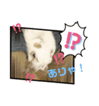 うさりおスタンプ5（個別スタンプ：5）