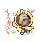 うさりおスタンプ5（個別スタンプ：6）