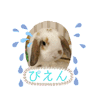 うさりおスタンプ5（個別スタンプ：12）
