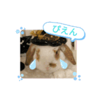 うさりおスタンプ5（個別スタンプ：13）
