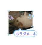 うさりおスタンプ5（個別スタンプ：14）