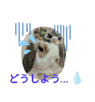 うさりおスタンプ5（個別スタンプ：18）