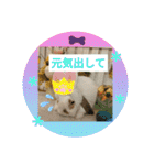 うさりおスタンプ5（個別スタンプ：19）