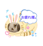 うさりおスタンプ5（個別スタンプ：20）