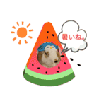 うさりおスタンプ5（個別スタンプ：21）