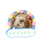 うさりおスタンプ5（個別スタンプ：23）