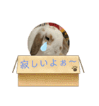 うさりおスタンプ5（個別スタンプ：27）