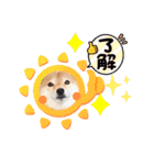 豆柴ちょび太のほのぼのスタンプ（個別スタンプ：14）