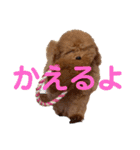 550cocomaru（個別スタンプ：10）