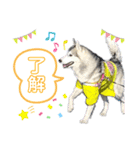 アールさんのスタンプ（個別スタンプ：2）