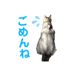 アールさんのスタンプ（個別スタンプ：7）