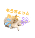 にゃいとメタルの一言スタンプ〜（個別スタンプ：4）