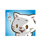 猫さんの夏（個別スタンプ：17）