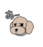 困り顔プードル(poodle)1（個別スタンプ：2）