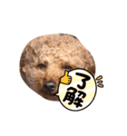 可愛いーーーーーーーーーーまるちゃん（個別スタンプ：5）