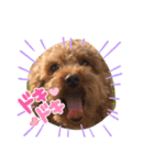 可愛いーーーーーーーーーーまるちゃん（個別スタンプ：6）