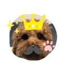 きゃわいいーーーーーーーーーーー（個別スタンプ：6）