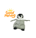 ペンギンの刺繍スタンプ（個別スタンプ：1）