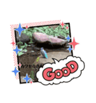 シロコマ（個別スタンプ：16）